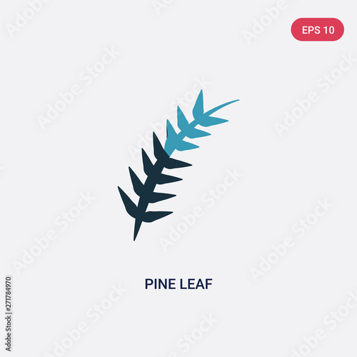 two color pine leaf vector icon from nature concept. isolated blue pine leaf vector sign symbol can be use for web, mobile and logo. eps 10