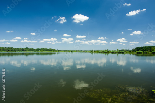 Calm lake  trees on the horizon and white clouds on a blue sky reflecting in the water