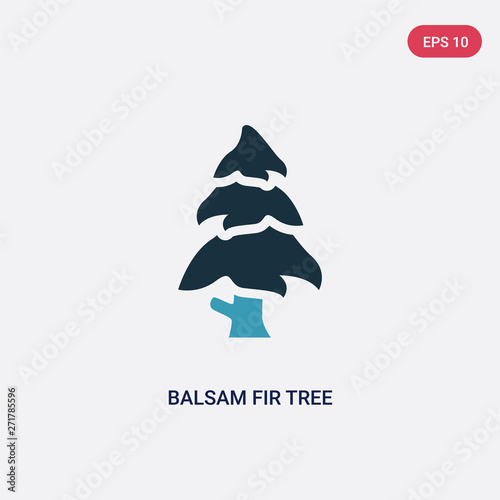 two color balsam fir tree vector icon from nature concept. isolated blue balsam fir tree vector sign symbol can be use for web, mobile and logo. eps 10