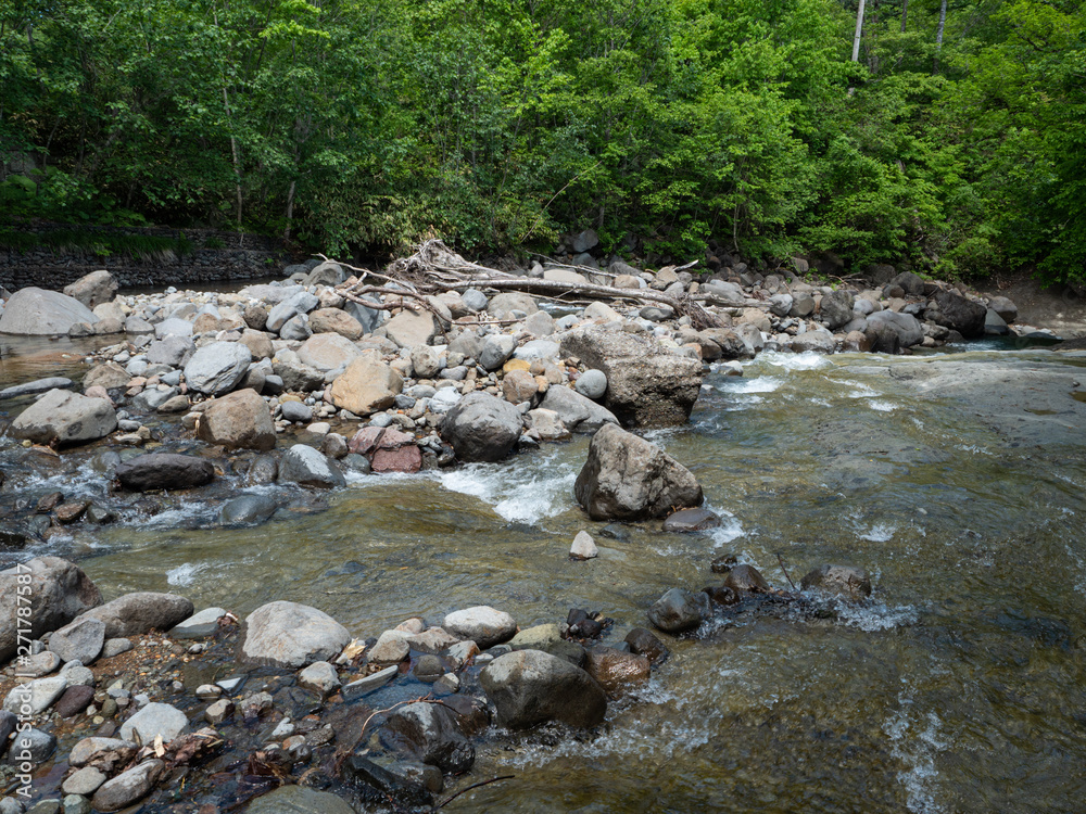 渓流 川 釣り 沢登り