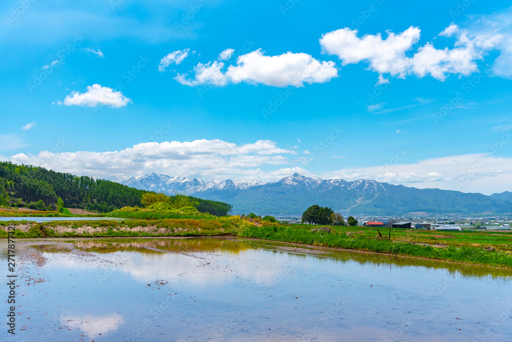 Vast blue sky and white clouds over paddy farmland field in a beautiful sunny day in springtime. Panoramic rural landscape with mountains.