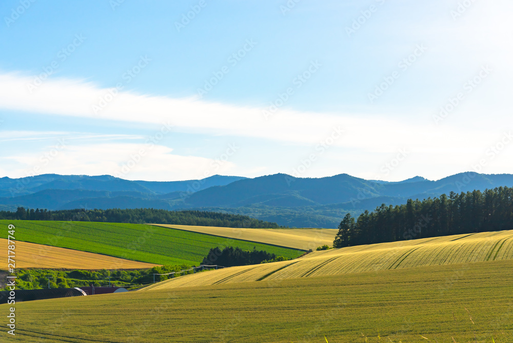 Panoramic rural landscape with mountains. Vast blue sky and white clouds over farmland field in a beautiful sunny day in springtime.