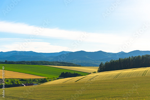 Panoramic rural landscape with mountains. Vast blue sky and white clouds over farmland field in a beautiful sunny day in springtime. © Shawn.ccf