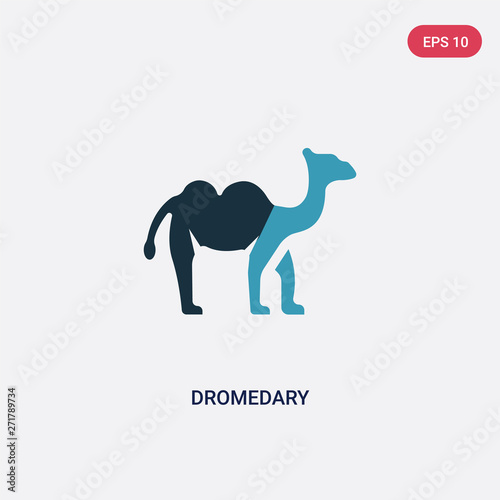 two color dromedary vector icon from religion concept. isolated blue dromedary vector sign symbol can be use for web, mobile and logo. eps 10