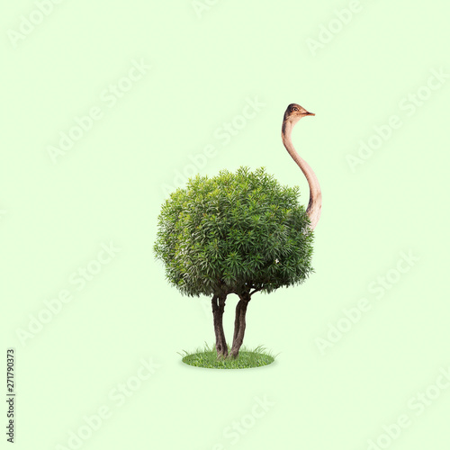 Ostrich with the body as a tree with leaves on green background. Concept of interaction of different nature objects. Negative space. Modern design. Contemporary and creative art collage. photo