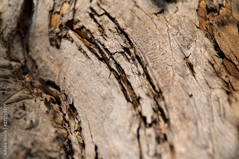 Blurred natural background of brown with yellow bark of an old tree. A cropped shot, horizontal, nobody, a lot of free space. The concept of nature and design. Blurred natural background of brown with yellow bark of an old tree. A cropped shot, horizontal, nobody, a lot of free space. The concept of nature and design.