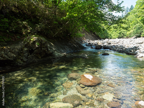 渓流 川 釣り 沢登り