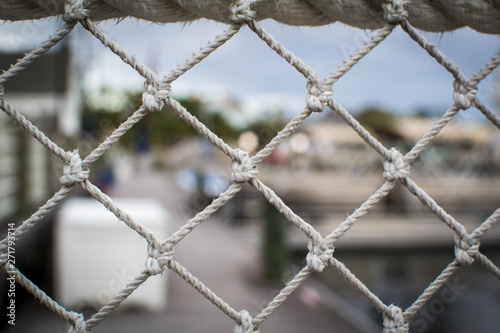 Netted fence with blurred background © Jazmine