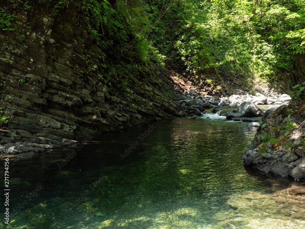 渓流 川 釣り 沢登り