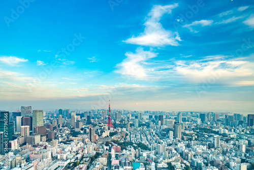 Tokyo Tower, Japan - communication and observation tower. It was the tallest artificial structure in Japan until 2010 when the new Tokyo Skytree became the tallest building of Japan.