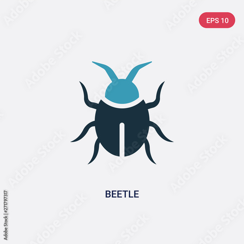 Leinwand Poster two color beetle vector icon from animals concept