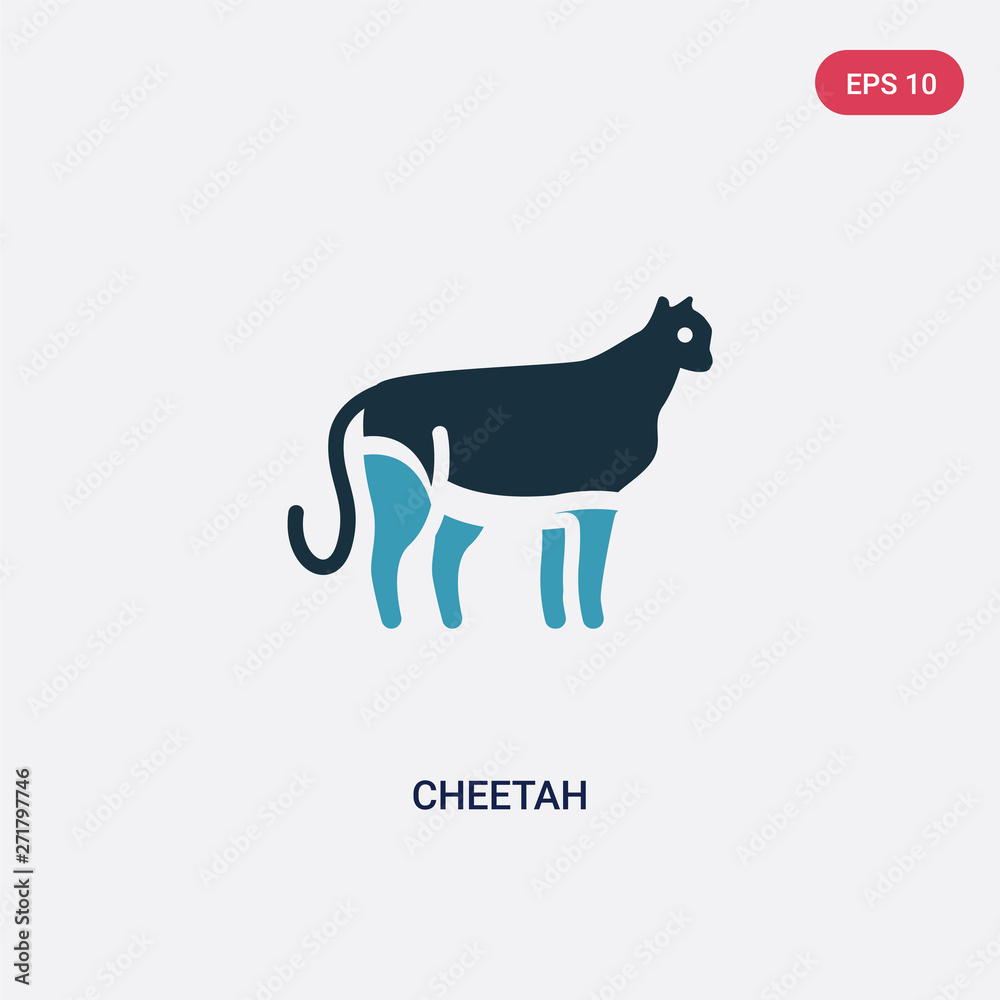 two color cheetah vector icon from animals concept. isolated blue cheetah vector sign symbol can be use for web, mobile and logo. eps 10
