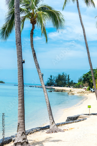 Fototapeta Naklejka Na Ścianę i Meble -  Thailand has a great number of magnificent beaches, both on the Eastern Gulf of Thailand and on the Andaman Sea on the Western part of the country.