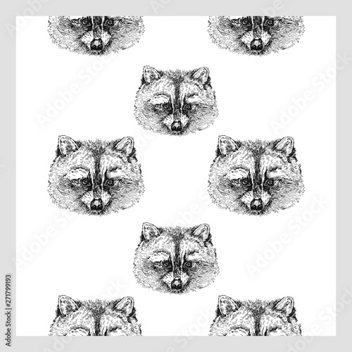 Seamless pattern of hand drawn sketch style raccoon. Vector illustration isolated on white background.
