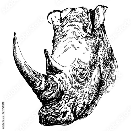 Hand drawn sketch style portrait of rhino isolated on white background. Vector illustration.