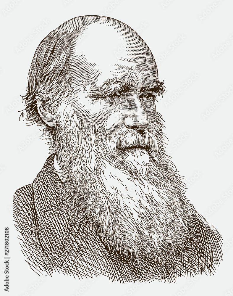 Portrait of Charles Darwin, historic scientist with long beard, after antique engraving from 19th century