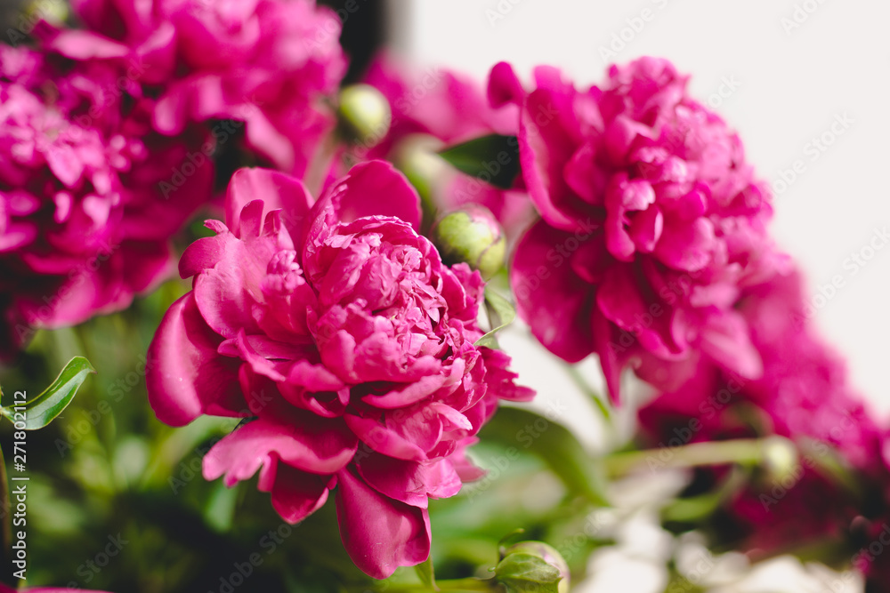 Still life with a bouquet of blooming peonies Elegant bouquet of a lot of peonies of pink color close up. Beautiful flower for any holiday. Lots of pretty and romantic flowers in floral shop. Still life with a bouquet of blooming peonies Elegant bouquet of a lot of peonies of pink color close up. Beautiful flower for any holiday. Lots of pretty and romantic flowers in floral shop.