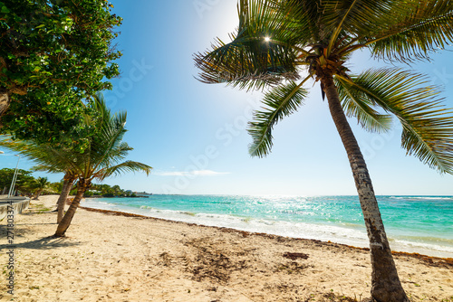 Raisins Clairs beach under a shining sun in Guadeloupe