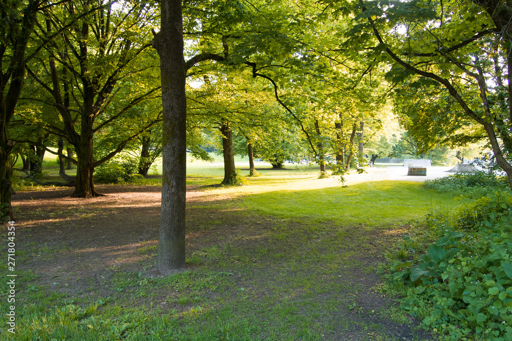 Hirschgarten park in Munich, Bavaria at sunset