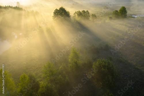Summer nature background. Scenery misty morning in sunshine aerial view. Bright sun rays through trees in fog on grassy meadow. Sunny riverside in mist