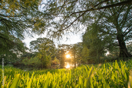Golden hour down by the river