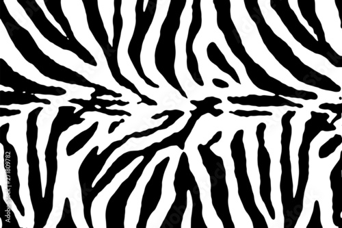 Fototapeta Zebra texture vector