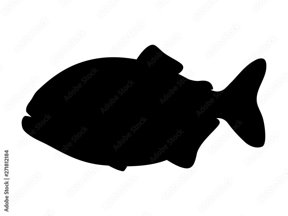 Vector illustration of black silhouette of piranha Vector illustration of black silhouette of piranha