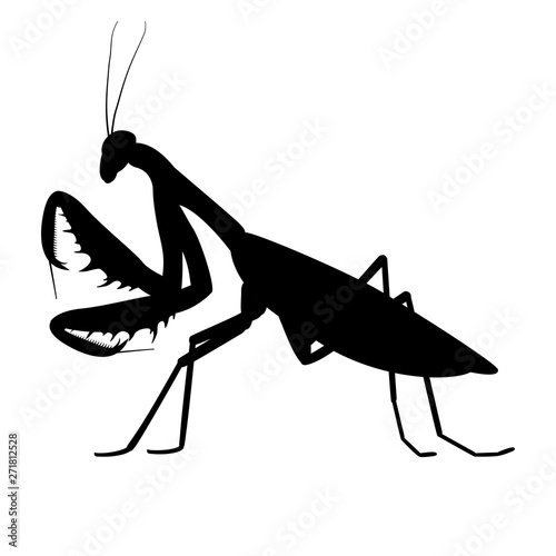 Vector illustration black silhouette of a mantis