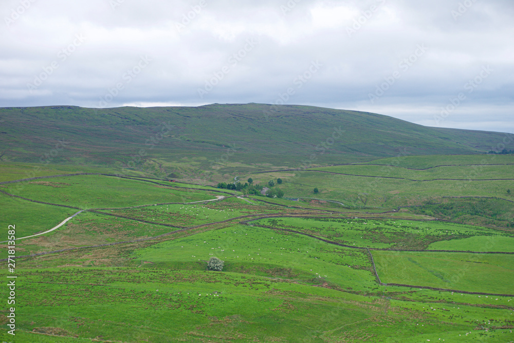 View across View across