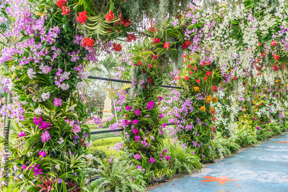 Obraz premium Beautiful flowers background