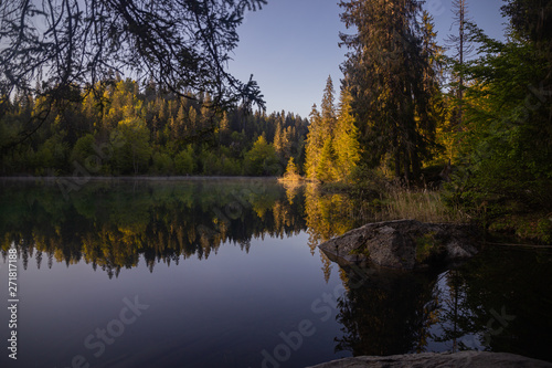 reflection of trees in lake, crestasee © Samuel