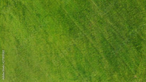 Aerial. Green grass texture background. Top view from drone.