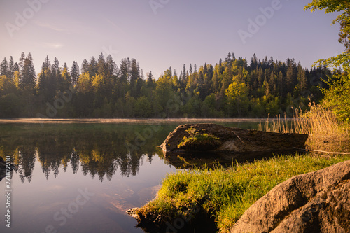 reflection of trees in lake, crestasee