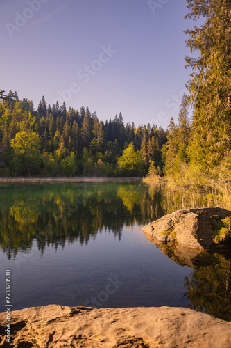 reflection of trees in lake, crestasee photo