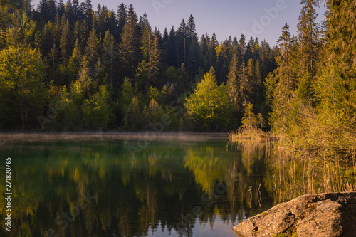 reflection of trees in lake, crestasee