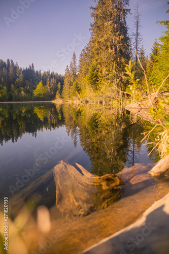 reflection of trees in lake, crestasee