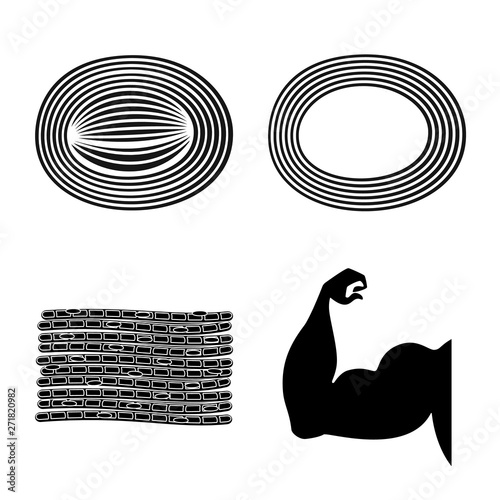 Isolated object of human and body  sign. Set of human and cells stock symbol for web.