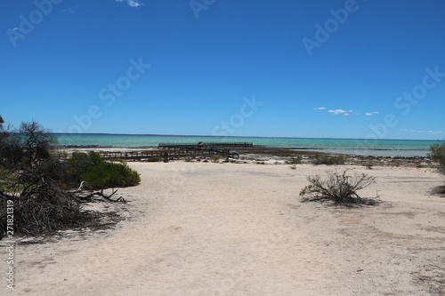 Hamelin Pool Marine Nature Reserve at Shark Bay.  Western Australia