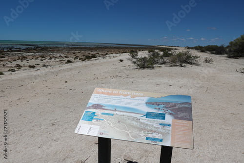 Hamelin Pool Marine Nature Reserve at Shark Bay., Western Australia photo