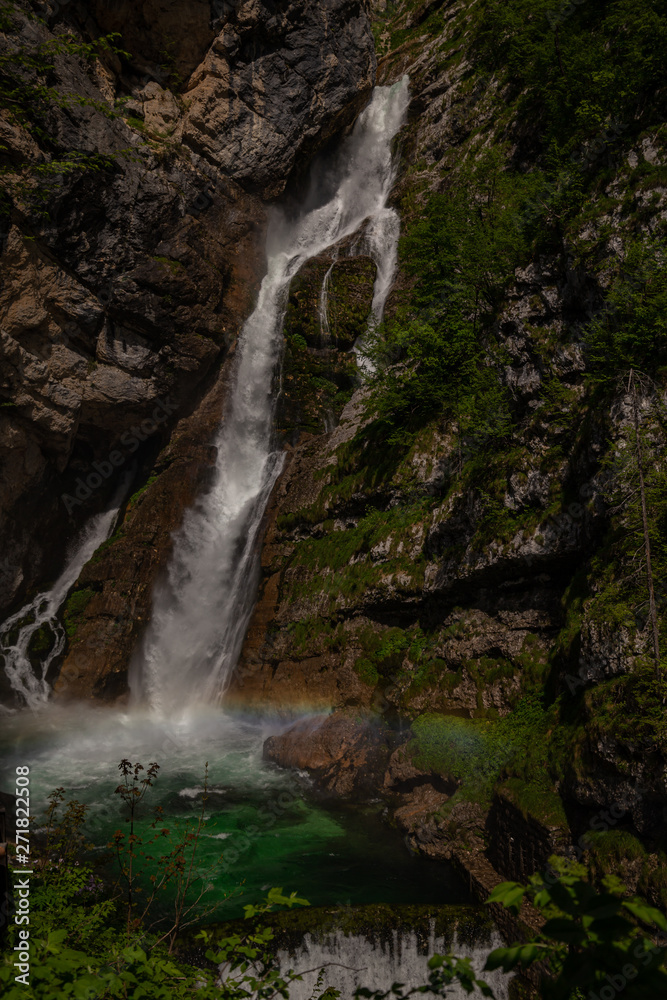 Obraz premium waterfall in deep forest