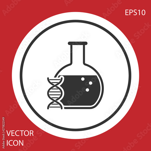 Grey DNA research, search icon isolated on red background. Genetic engineering, genetics testing, cloning, paternity testing. White circle button. Vector Illustration