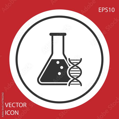 Grey DNA research, search icon isolated on red background. Genetic engineering, genetics testing, cloning, paternity testing. White circle button. Vector Illustration
