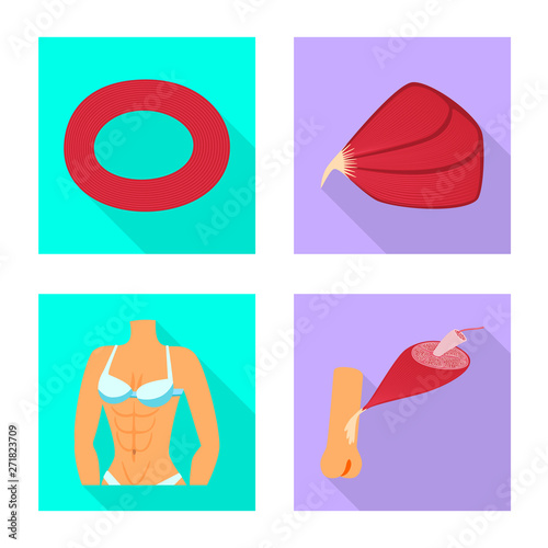 Vector illustration of muscle and cells symbol. Set of muscle and anatomy stock symbol for web.