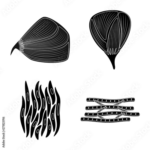 Vector design of human and body  sign. Set of human and cells stock vector illustration.