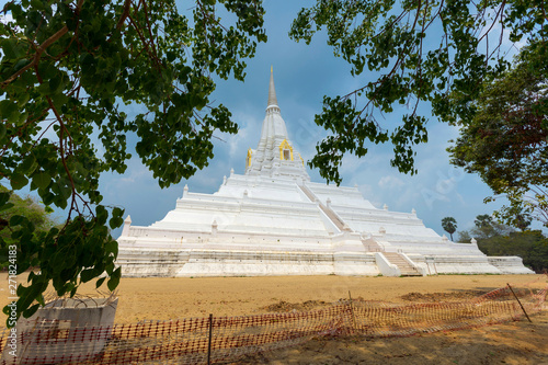 Bild auf Leinwand Beautiful chedi of Phukhao Thong in Ayutthaya, Thailand.