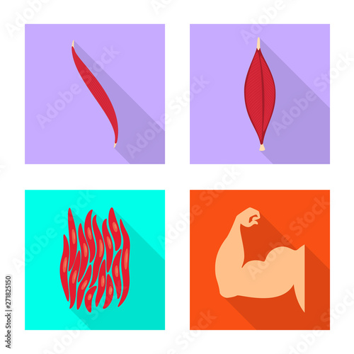Isolated object of muscle and cells icon. Set of muscle and anatomy stock symbol for web.