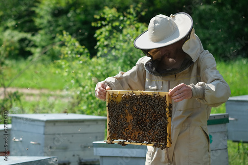 Beekeeper inspecting honeycomb frame at apiary at the summer day. Man working in apiary. Apiculture. Beekeeping concept.
