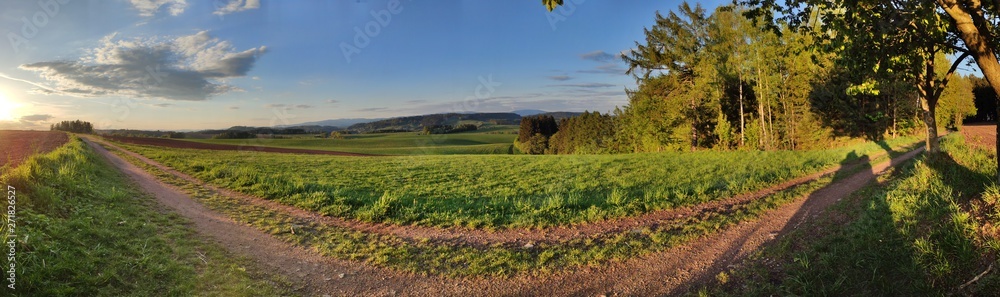 Green hilly landscape with Giant Mountains, Czech: Krkonose, on skyline, Czech Republic. Panoramic shot