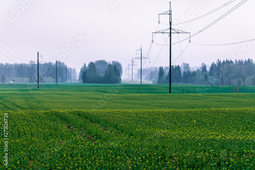 large power lines with air ducts visible through the forest during fog; green cereal fields are in the foreground; electro transmission line