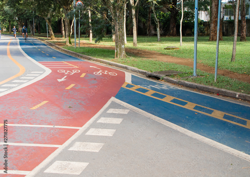 Obraz premium bike path in the park of Ibirapuera much used by athletaim of week, São Paulo Brazil
